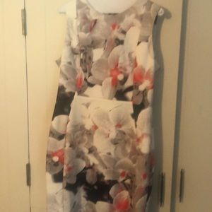 This multi colorful Calvin Kline dress.